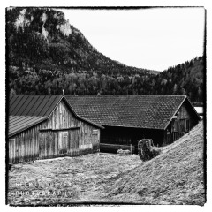 DSCF2564-Bearbeitet